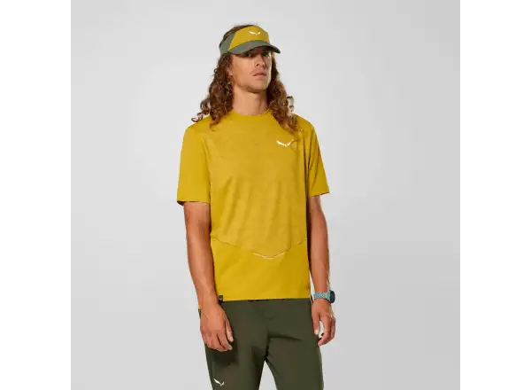 Salewa Pedroc Tech Dry men's T-shirt Olive Oil