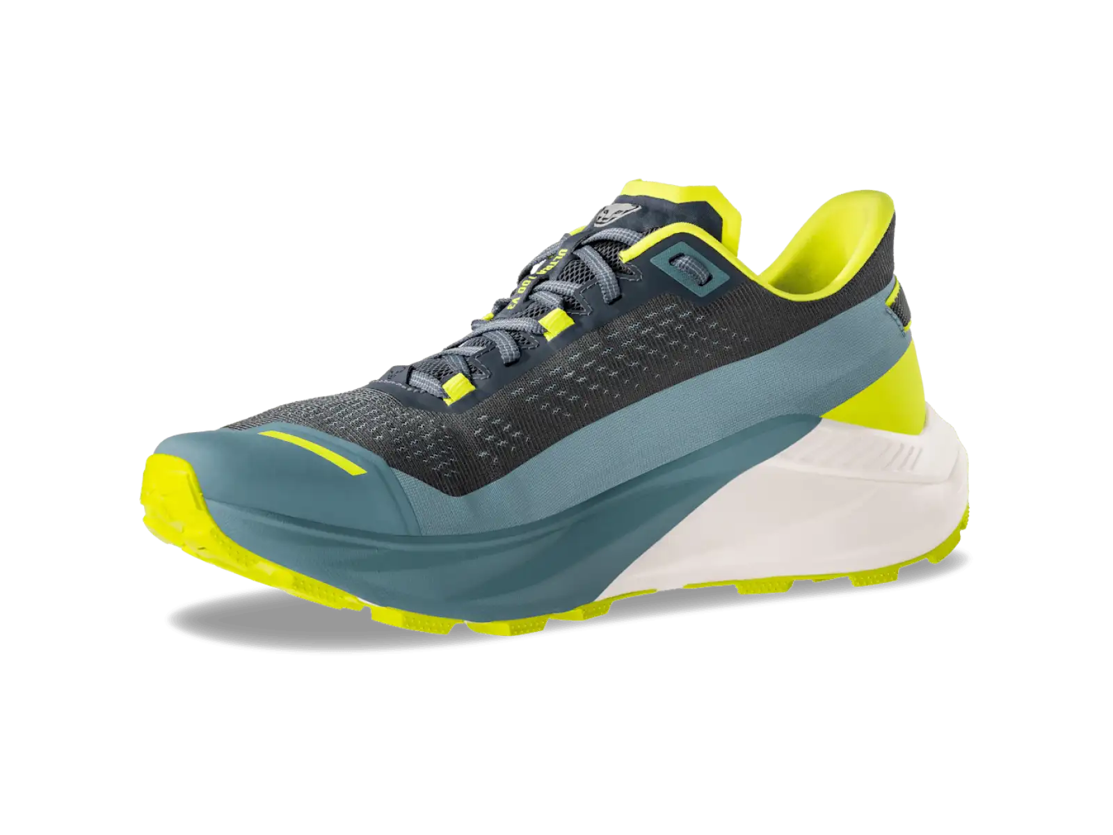 Dynafit Ultra 100 V3 men's running shoes Smoke Blue/Cinder