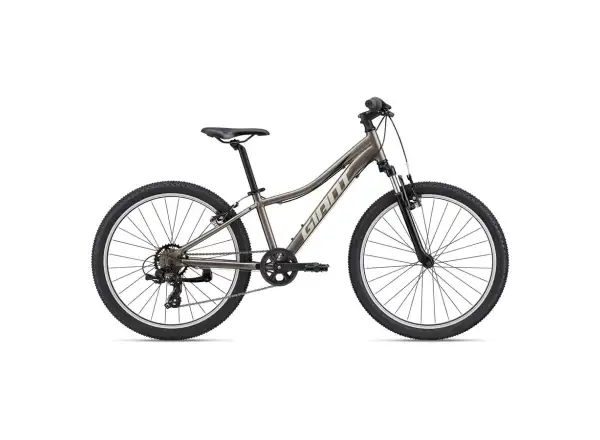 Giant XTC Jr 24 children's bike metal