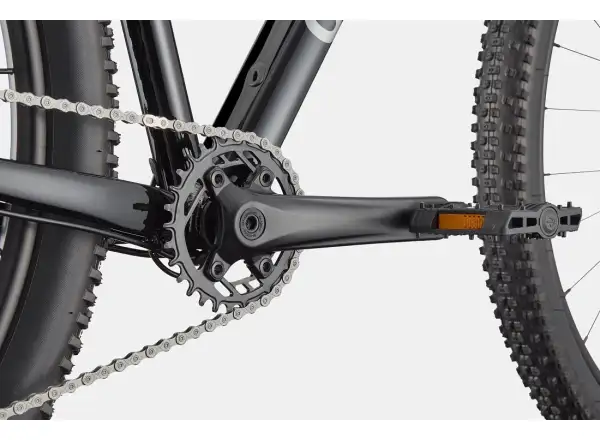 Cannondale Trail 1 29" mountain bike Black