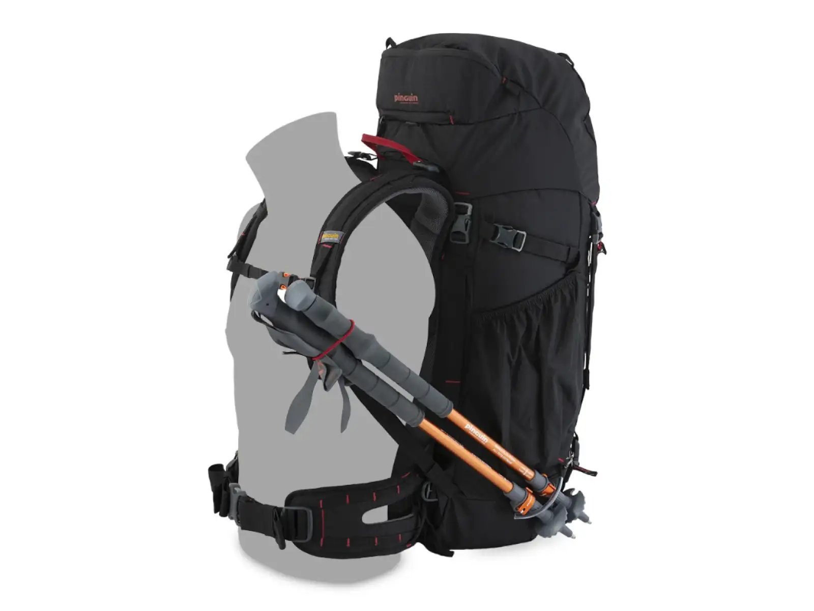 Pinguin Walker 50 backpack 50l Black