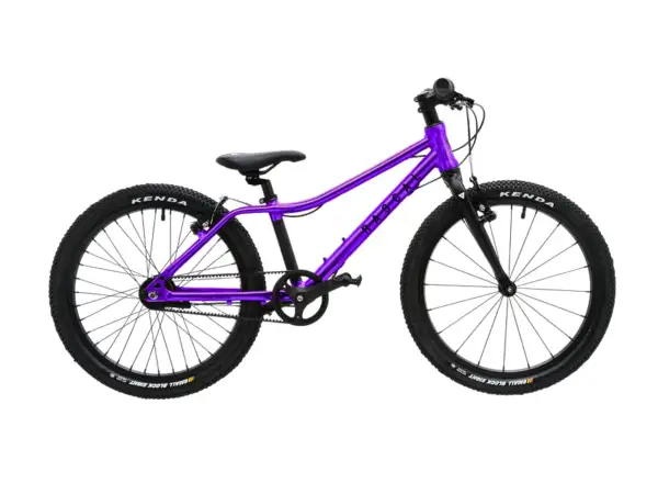 Rascal 20 children's bike Amethyst Limited