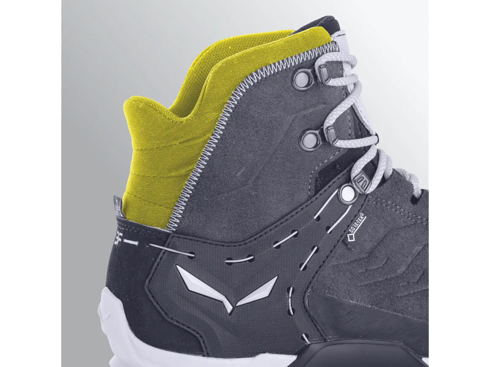 Salewa Alp Trainer 2 GTX men's shoes Bungee Cord/Black
