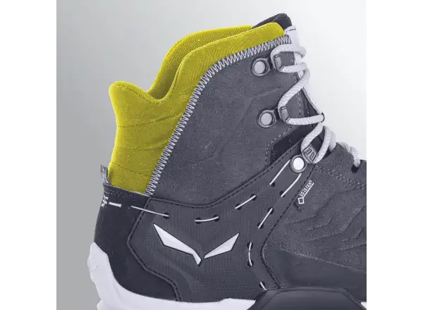 Salewa Alp Trainer 2 GTX men's shoes Bungee Cord/Black