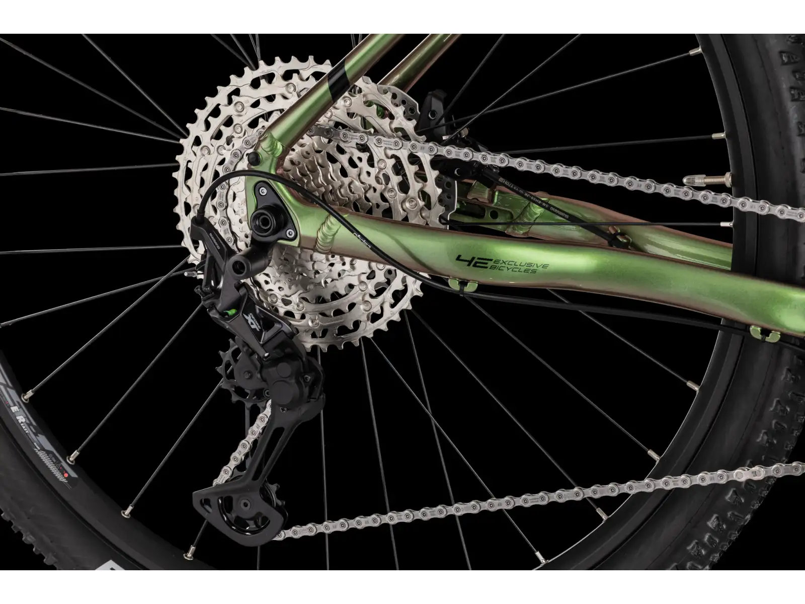 4EVER PRODIGY BOOST mountain bike dragon green