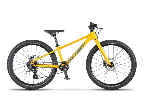 Beany Blaster XC 24 kids bike Gold