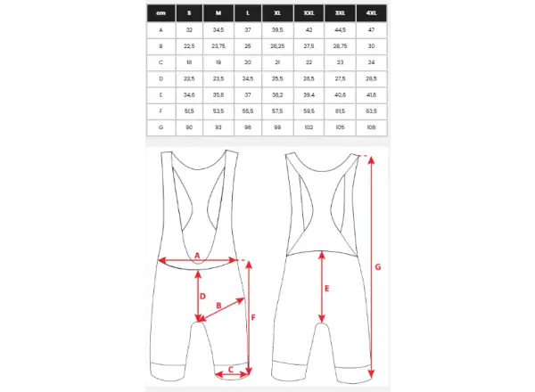 Silvini Fortone Bib men's bib shorts Black