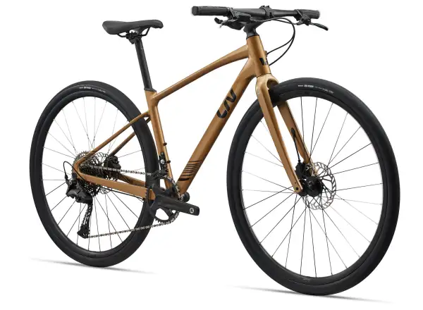 Liv Thrive 1 fitness bike Steampunk
