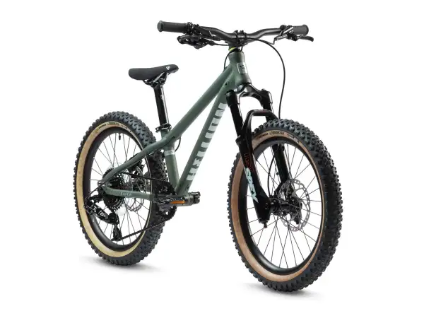 Early Rider Hellion 20 children's bike Forest Green