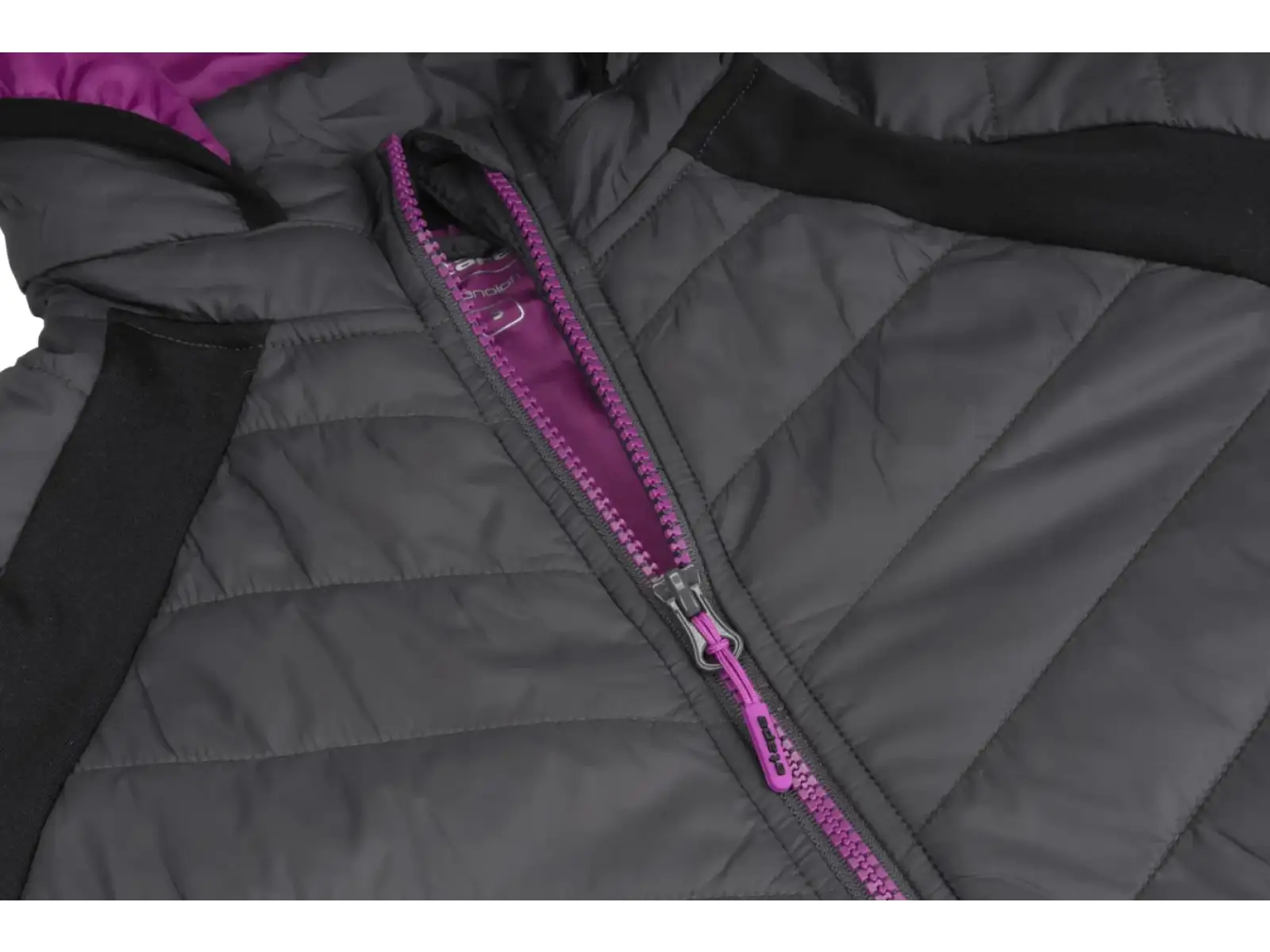 Etape Sierra Pro 3.0 women's winter jacket anthracite/purple