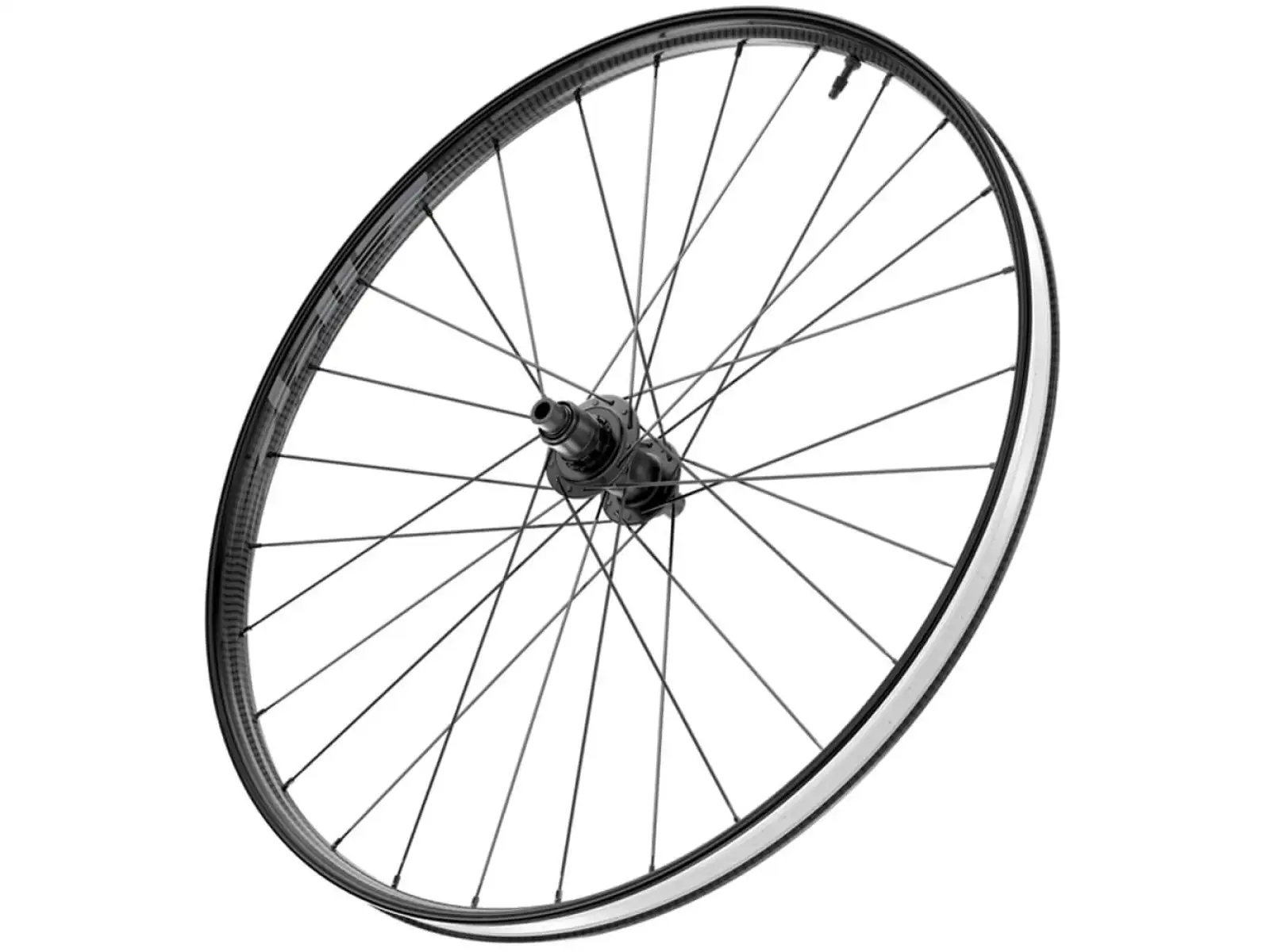 Zipp 101 XPLR Carbon Disc TL CL 12x142 mm rear wheel black