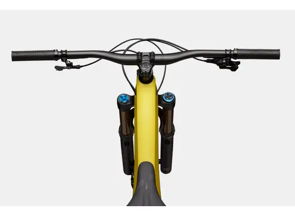 Cannondale Jekyll 1 mountain bike Ginger