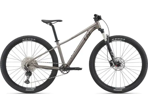 Liv Tempt 29 0 Metal 2022 mountain bike