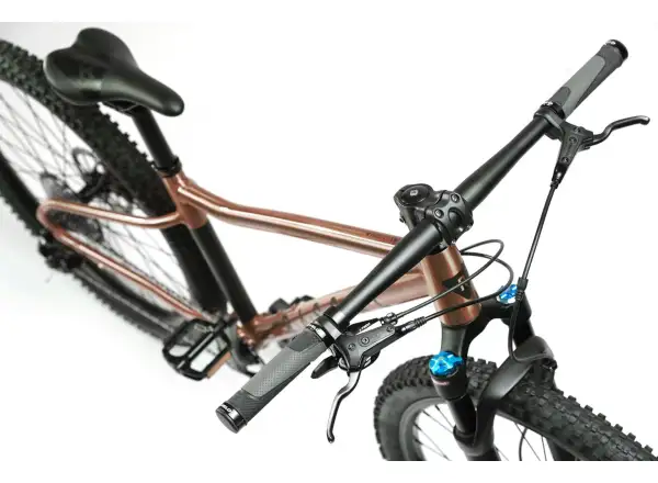 Rascal Wild 27 children's bike Bronze