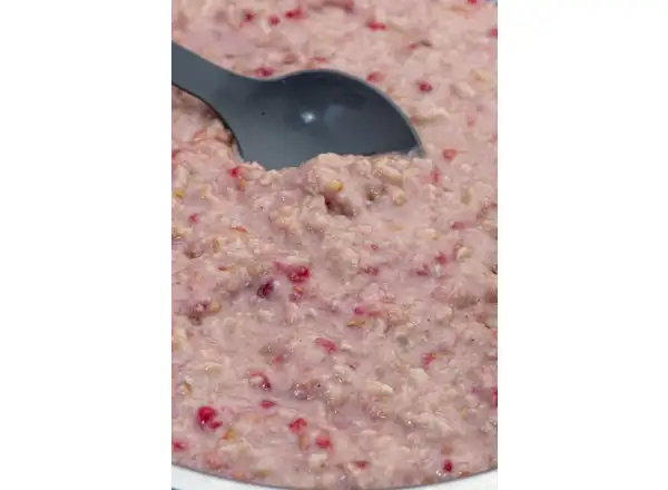 Summit To Eat dehydrated meal Oatmeal with Raspberries 98 g