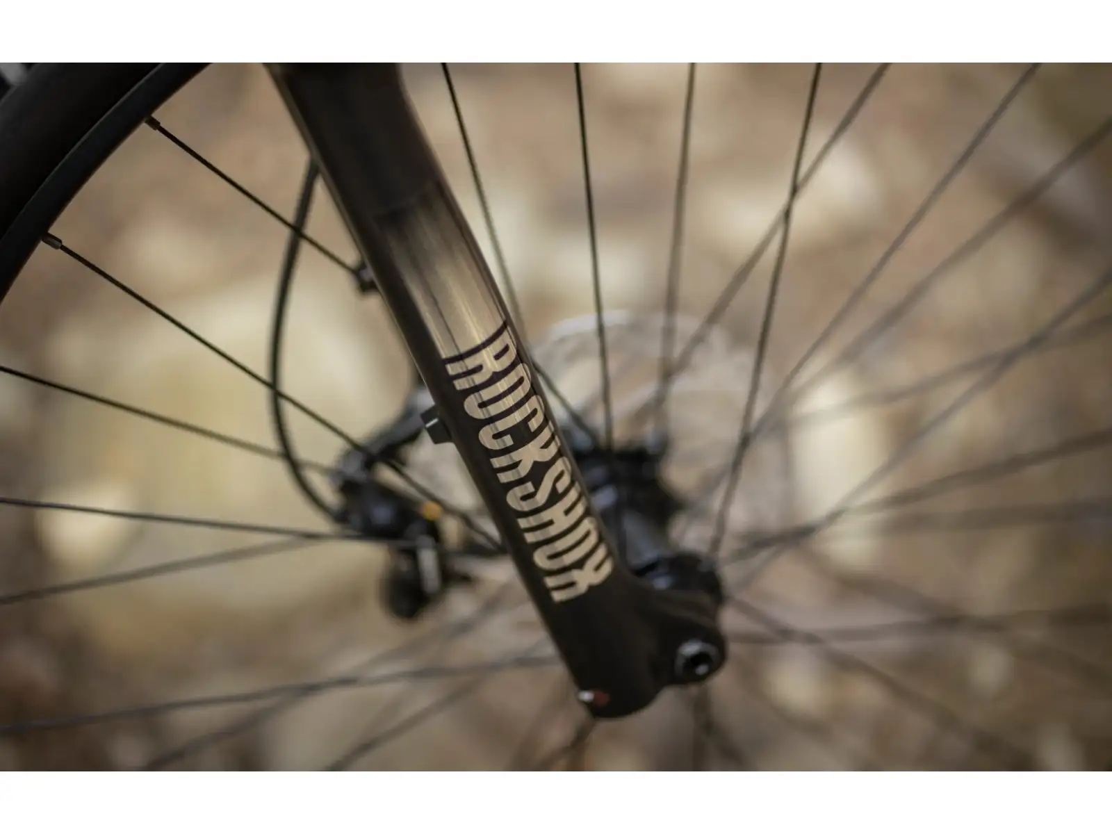 Superior eXF 8089 full-suspension e-bike Matte Olive Metallic/Chrome Silver