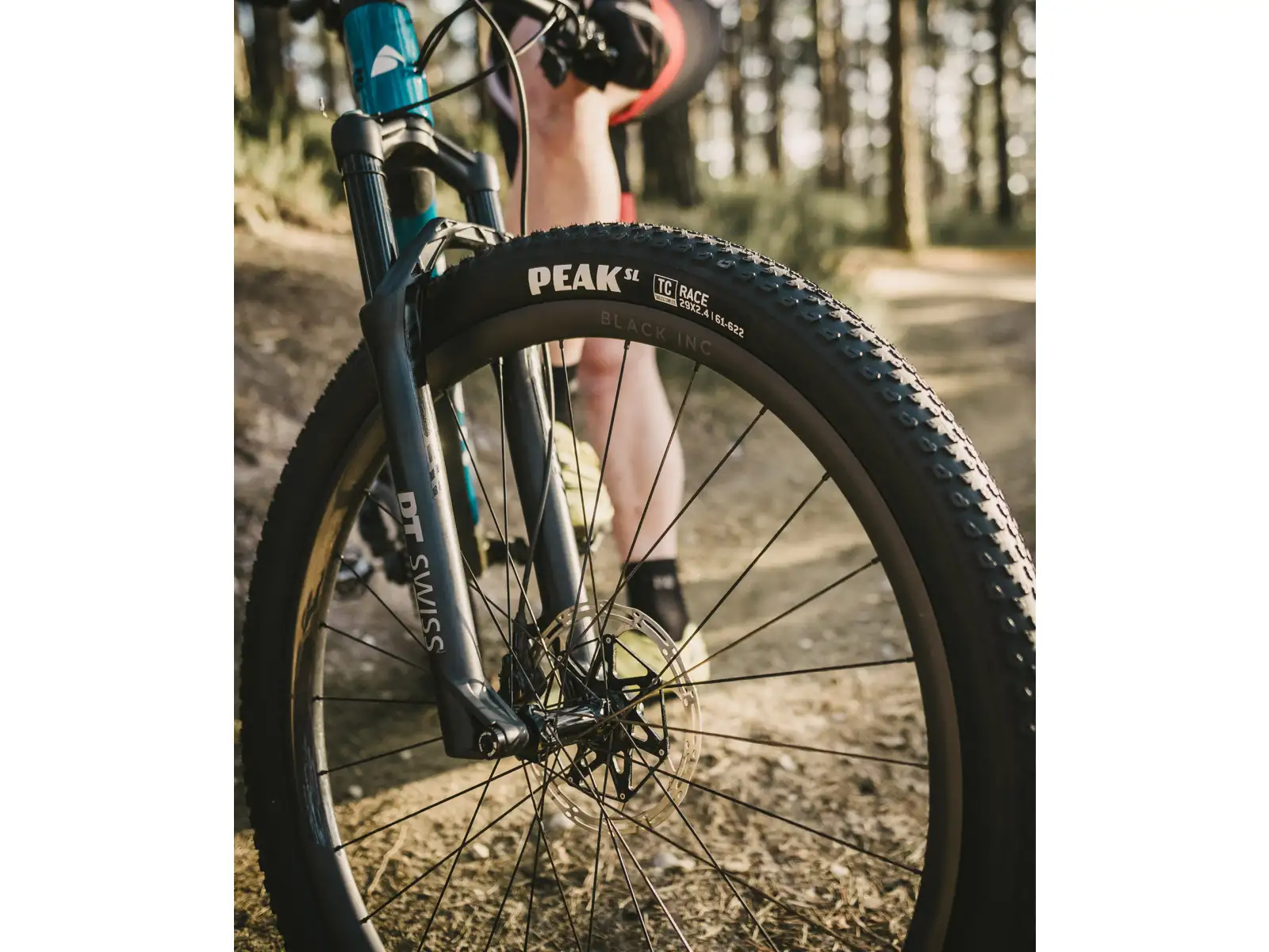 Goodyear Peak SL Race Tubeless Complete 29x2.40" MTB tire kevlar