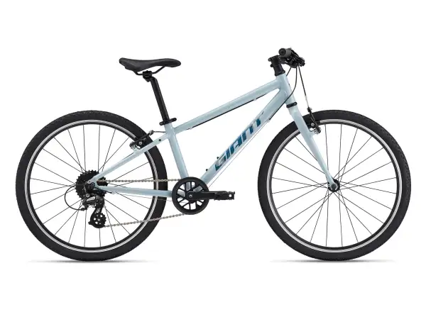 Giant ARX 24 kids bike Soap Suds