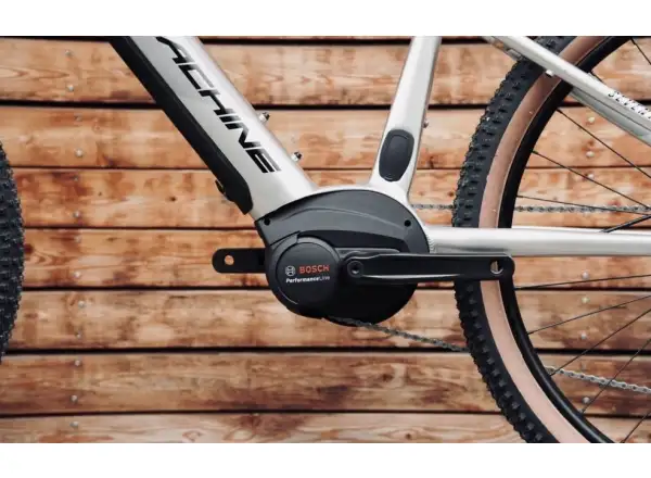 Rock Machine Torrent INT e70-29 Gloss Silver/Black mountain e-bike