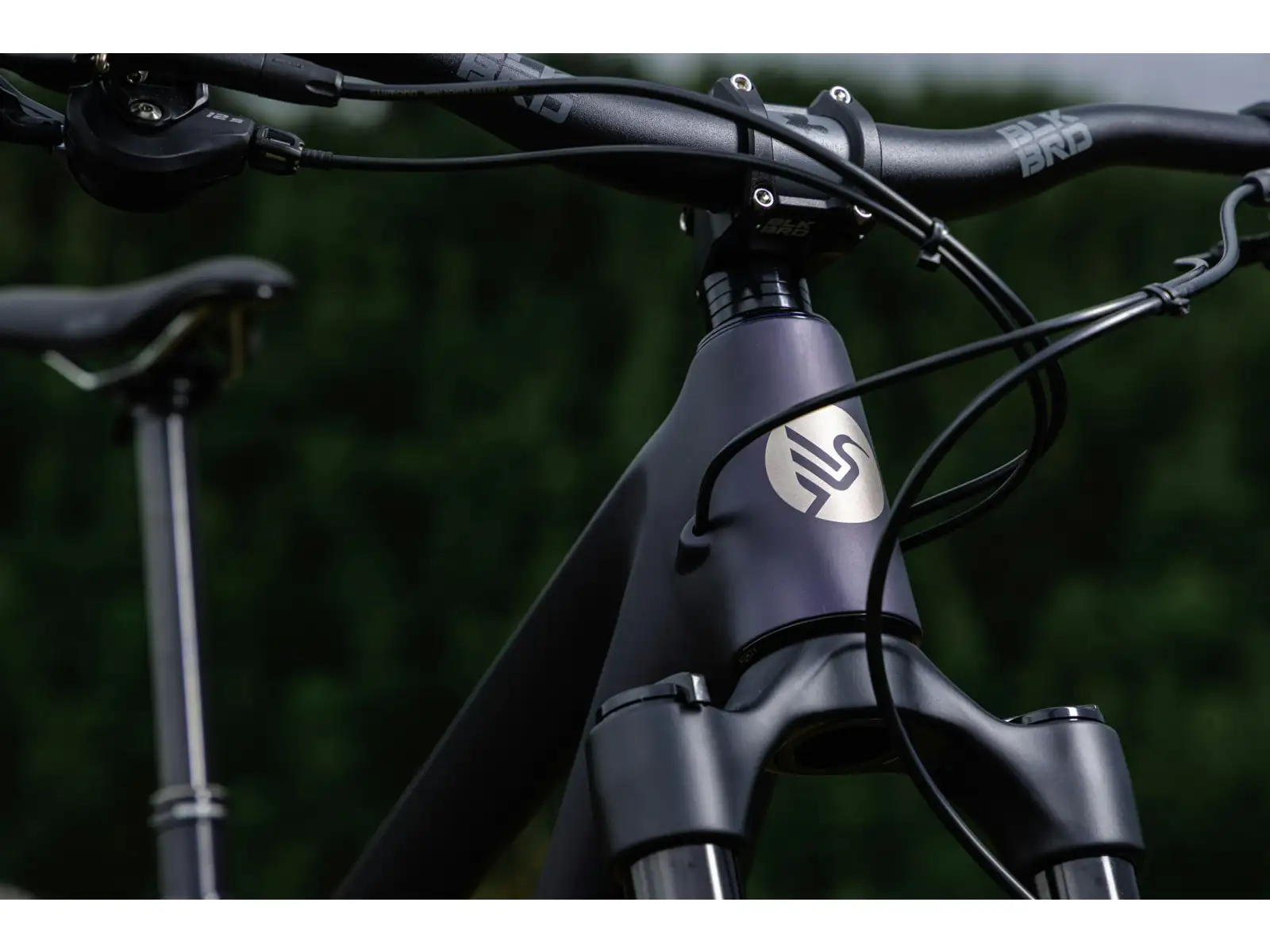 Ibis Ripmo V3 frame set Heckleberry Purple