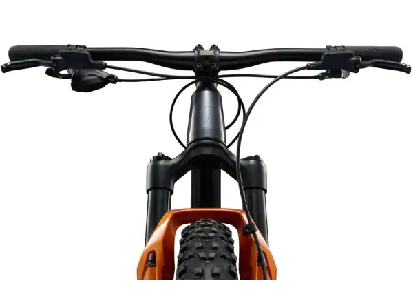 Giant STP 24 children's mountain bike Black Chrome