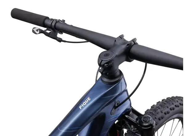 Liv Pique Advanced 29 3 mountain bike Ice Age