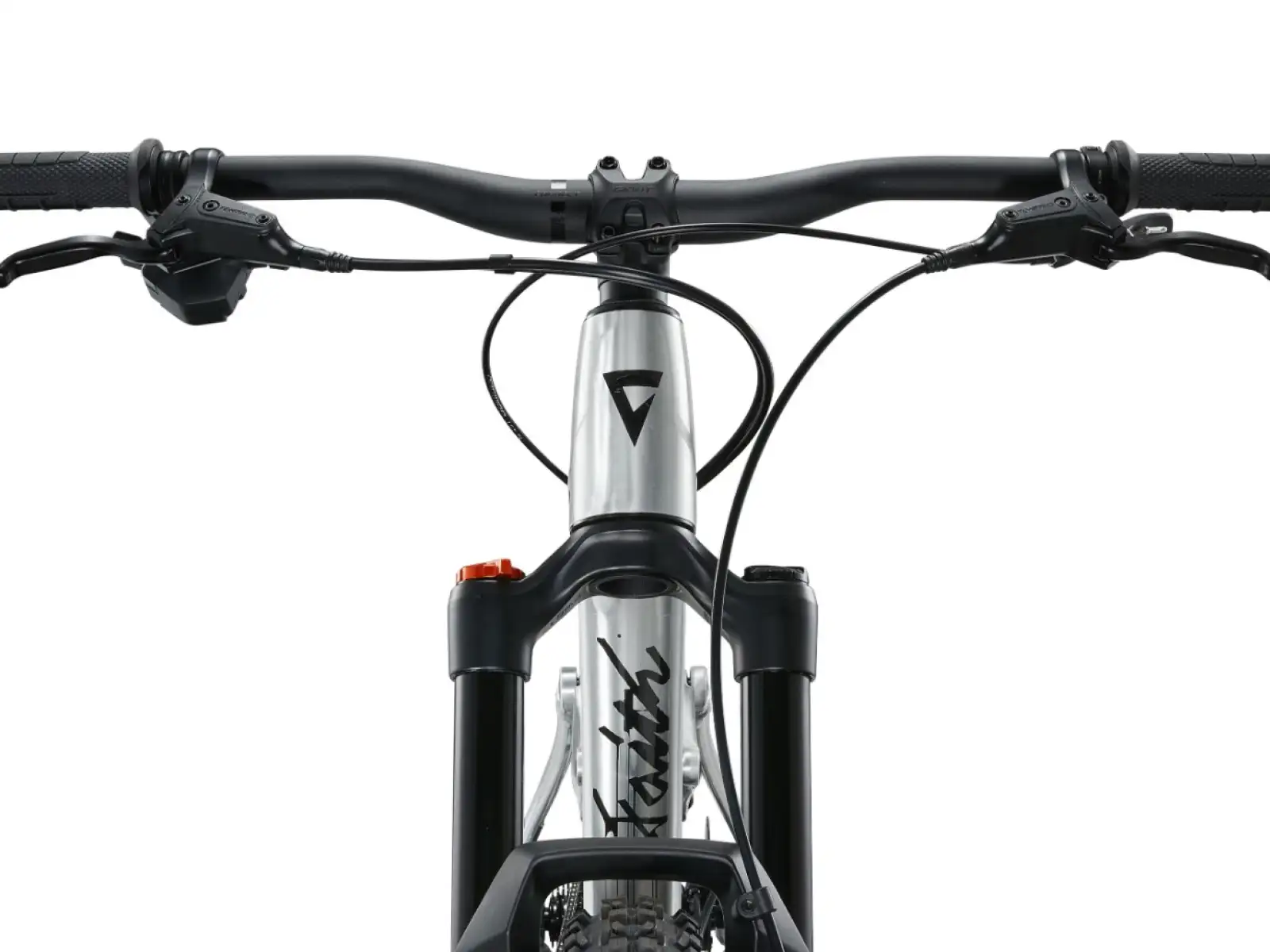 Giant Faith 24 children's full suspension bike Raw Aluminium