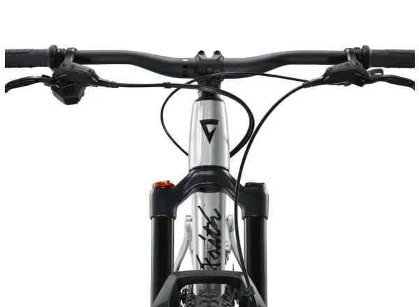 Giant Faith 24 children's full suspension bike Raw Aluminium