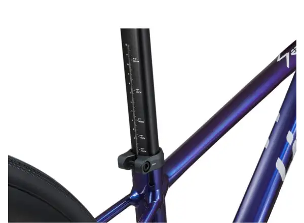Liv Seek 2 kids road bike Purple Haze