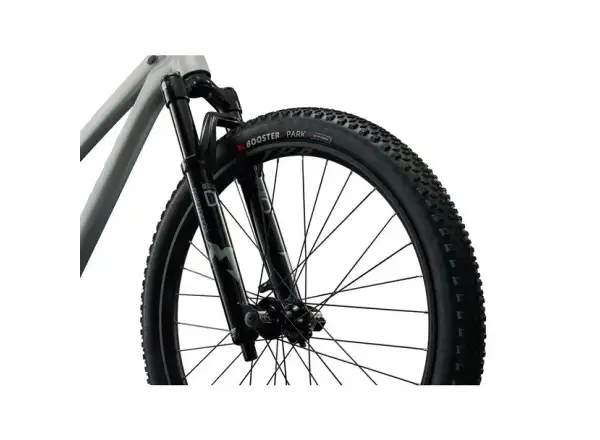 Giant STP 26 dirt bike Brush Aluminum