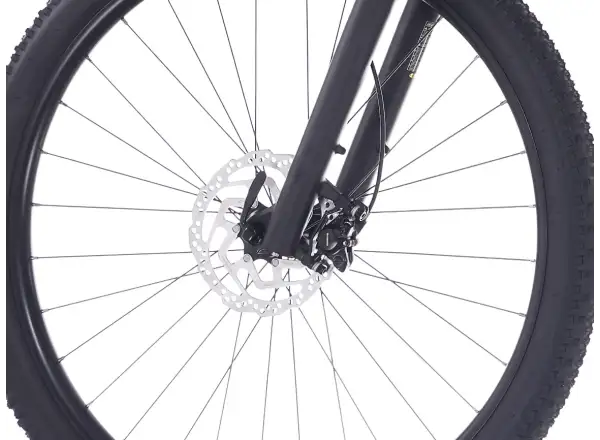 Rock Machine Blizz 20 mountain bike Matte Sand