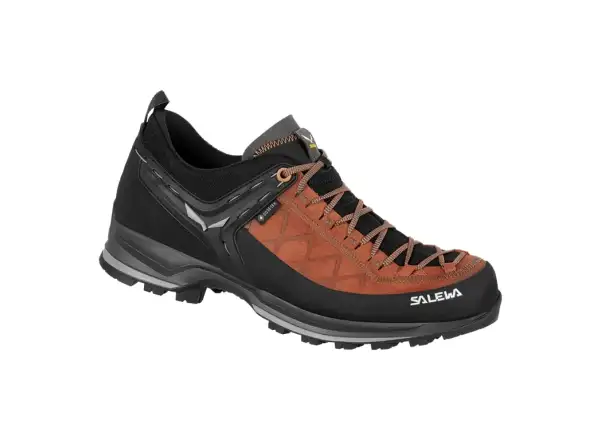 Salewa Mountain Trainer 2 GTX men's trekking shoes Autumnal/Black