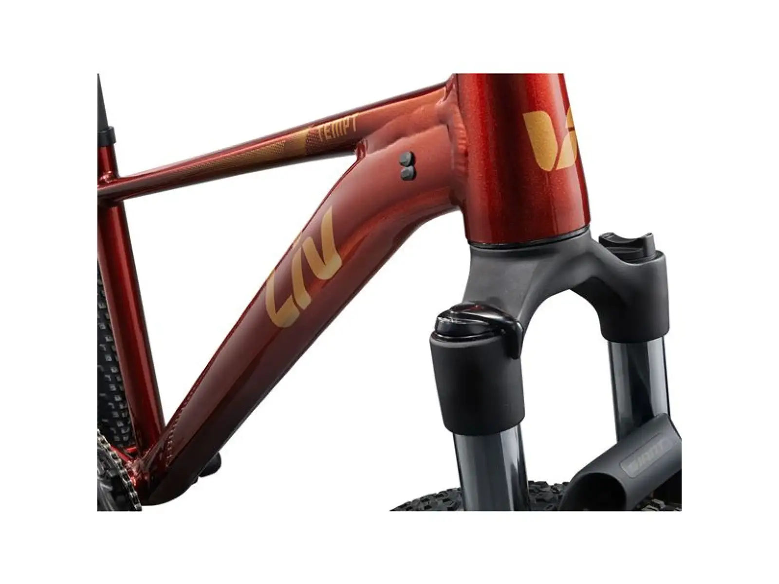 Giant Tempt 2 XS mountain bike Mars Dust