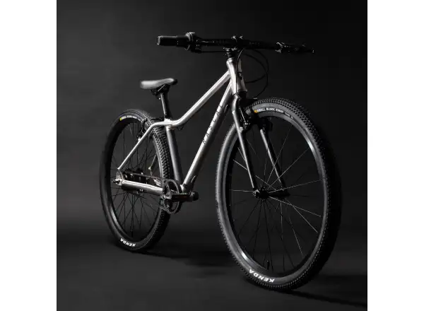Rascal 24 Titan 5 sp. Sturmey Archer children's bike
