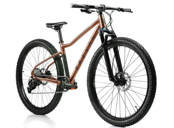 Rascal Wild 27 children's bike Bronze