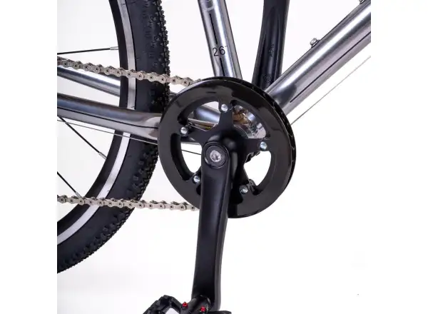 Beany Zero 26 children's bike Silver