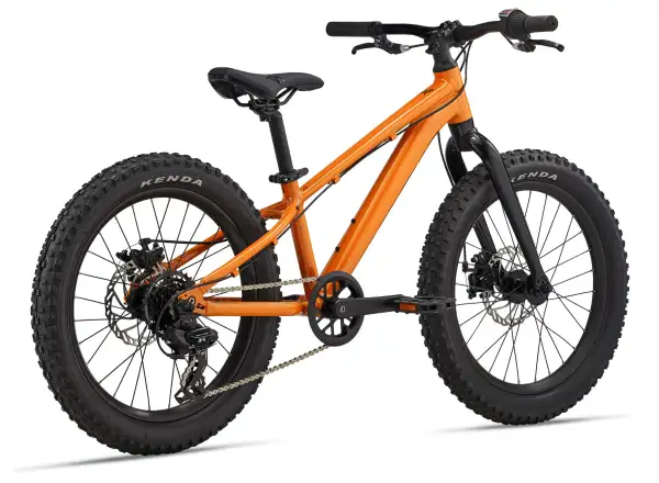 Giant STP 20 kids bike Sandstorm