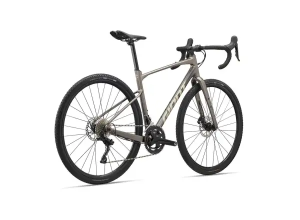 Giant Revolt 1 gravel bike Metal