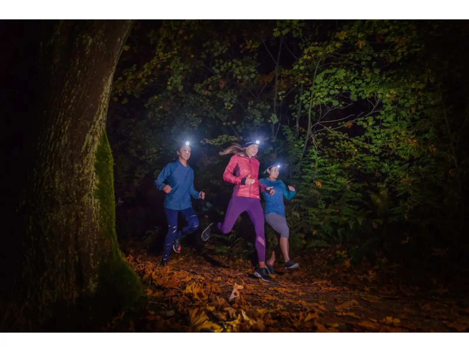 Petzl BINDI headlamp orange