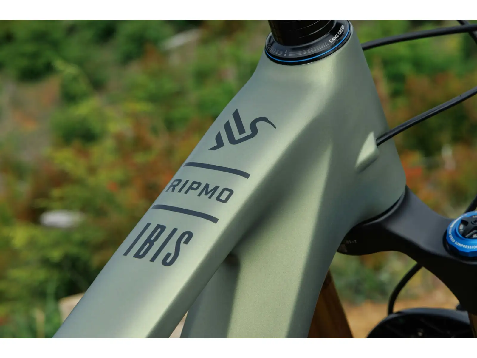 Ibis Ripmo V3 Eagle 90 mountain bike Olive Swamp Monster