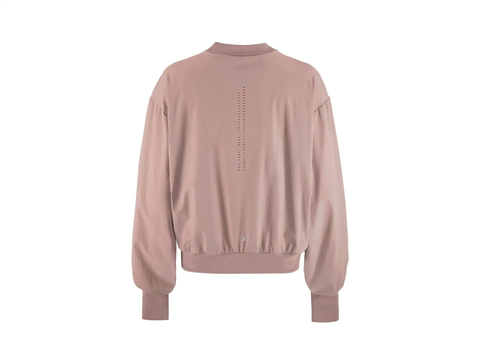 Craft Hypervent Wind women's long sleeve T-shirt purple