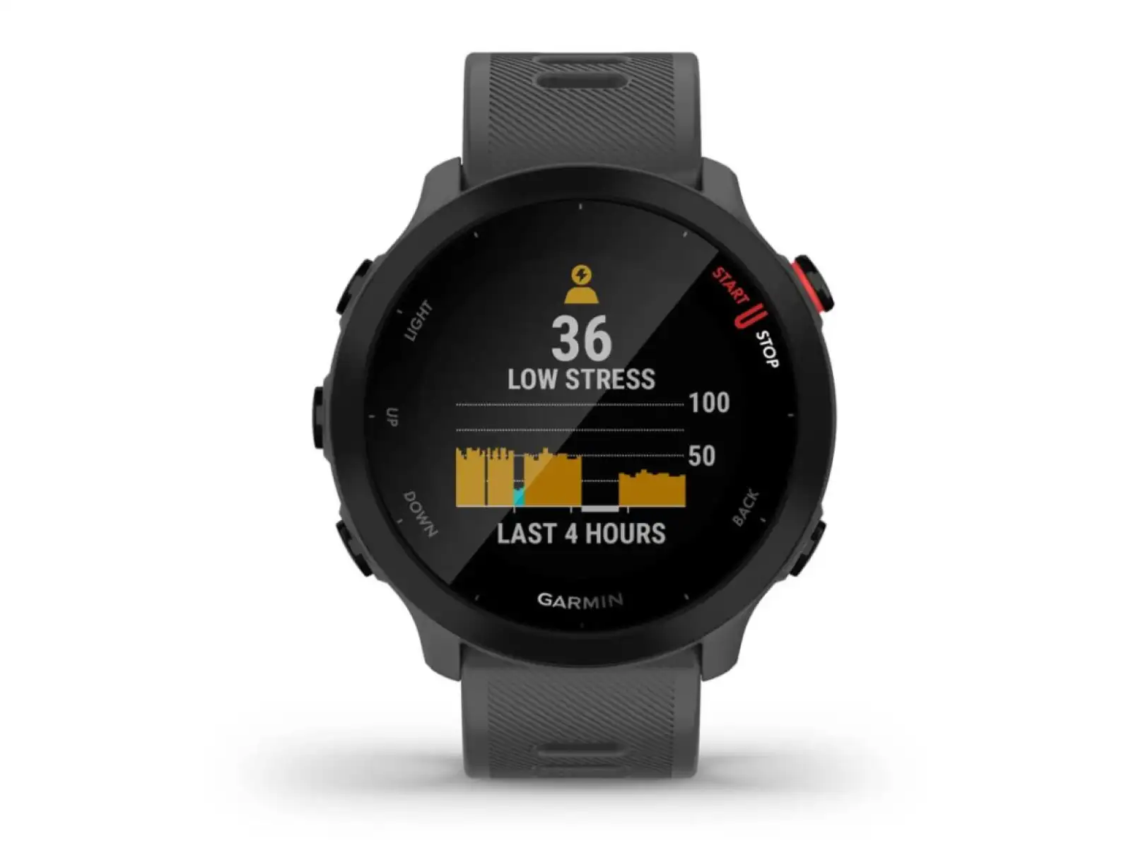 Garmin Forerunner 55 smart watch Grey