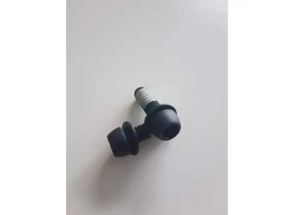 Sram Steel Mounting Bolts for Callipers 2 pcs