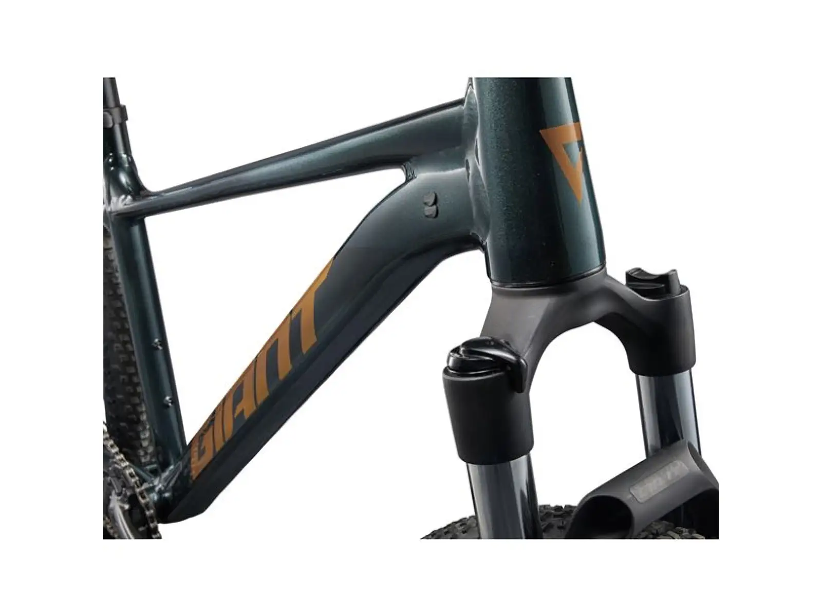 Giant Talon 29 2 mountain bike Asphalt Green