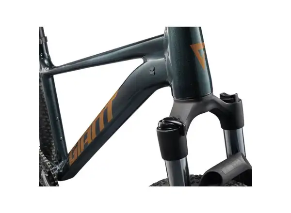 Giant Talon 29 2 mountain bike Asphalt Green