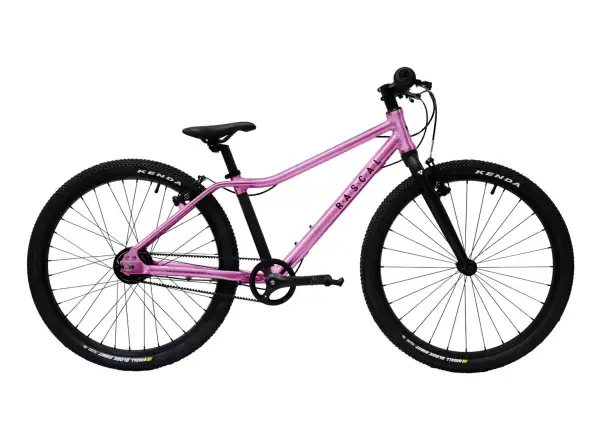 Rascal 24 7 sp. Shimano Nexus children's bike Raspberry
