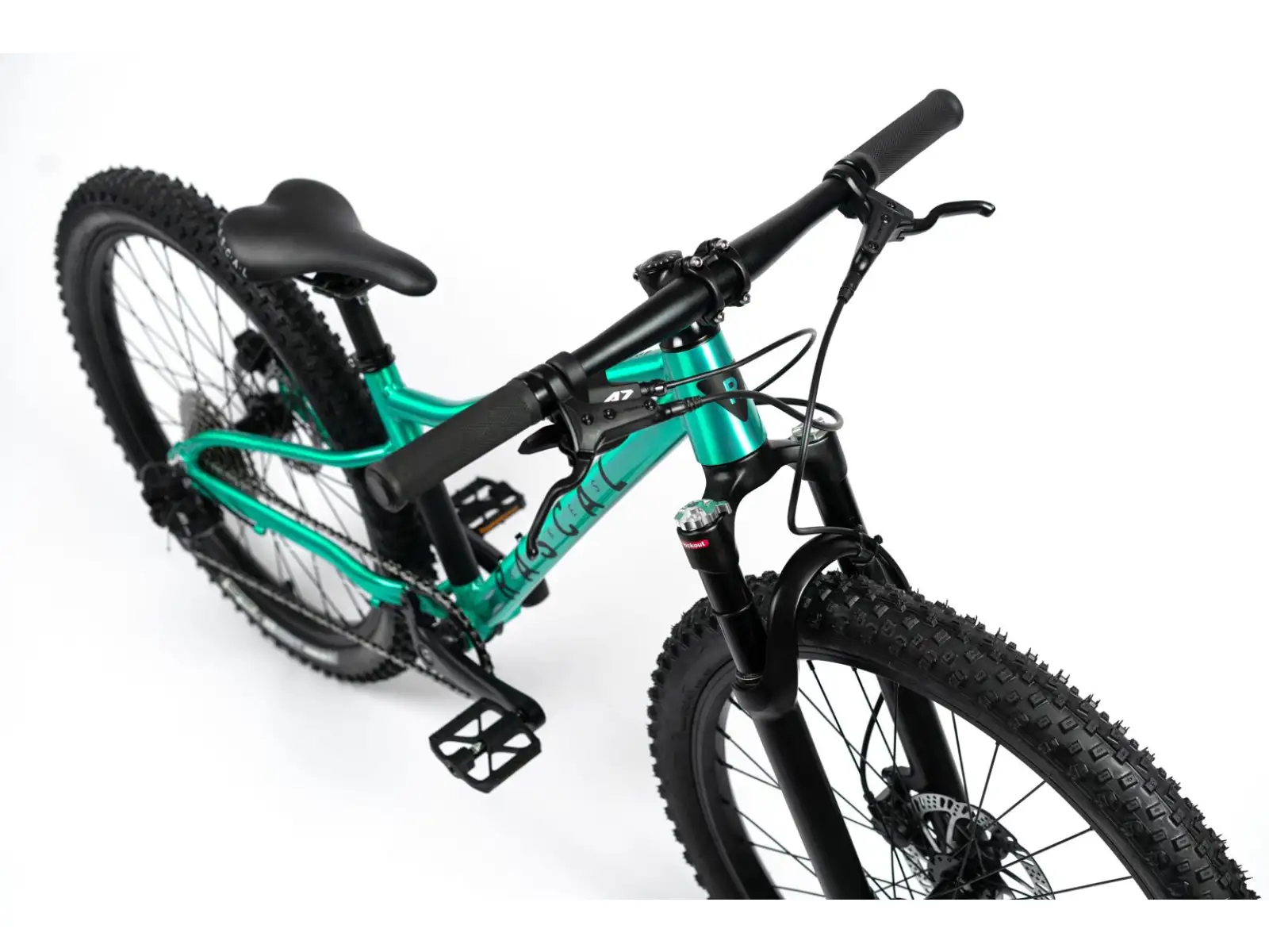 Rascal Wild 24 children's bike Emerald