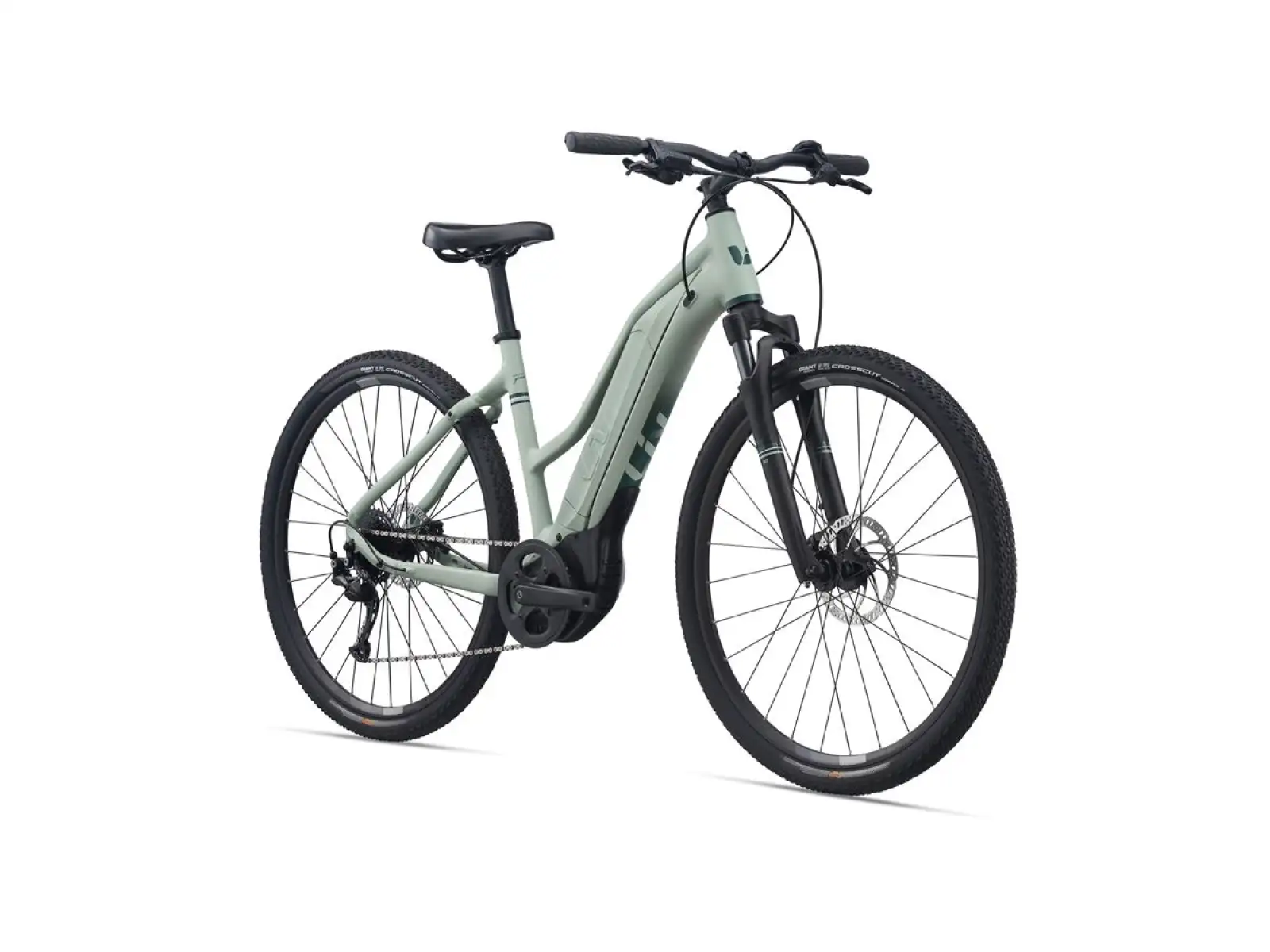 Liv Rove E+ women's trekking e-bike laurel