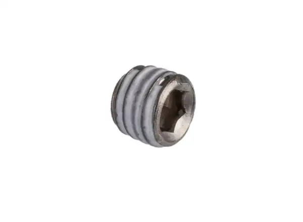 Rohloff drain screw 8205