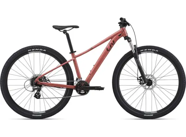 Liv Tempt 29 4 mountain bike Terra Roza